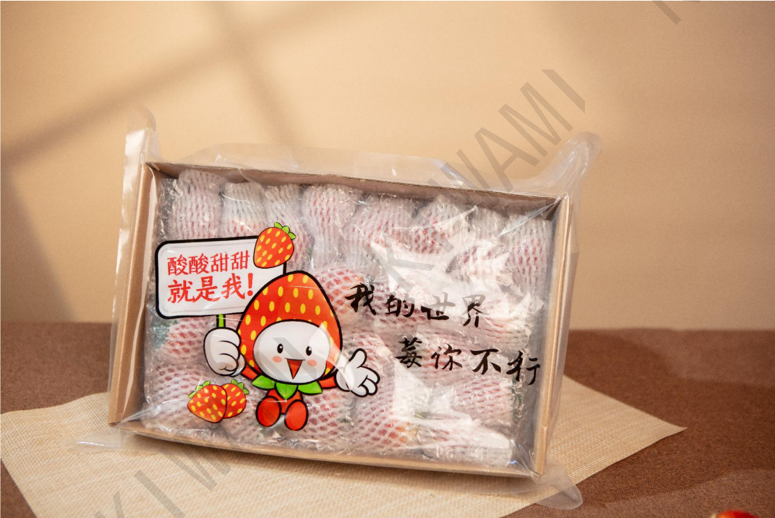 750g long-haul shipping pack